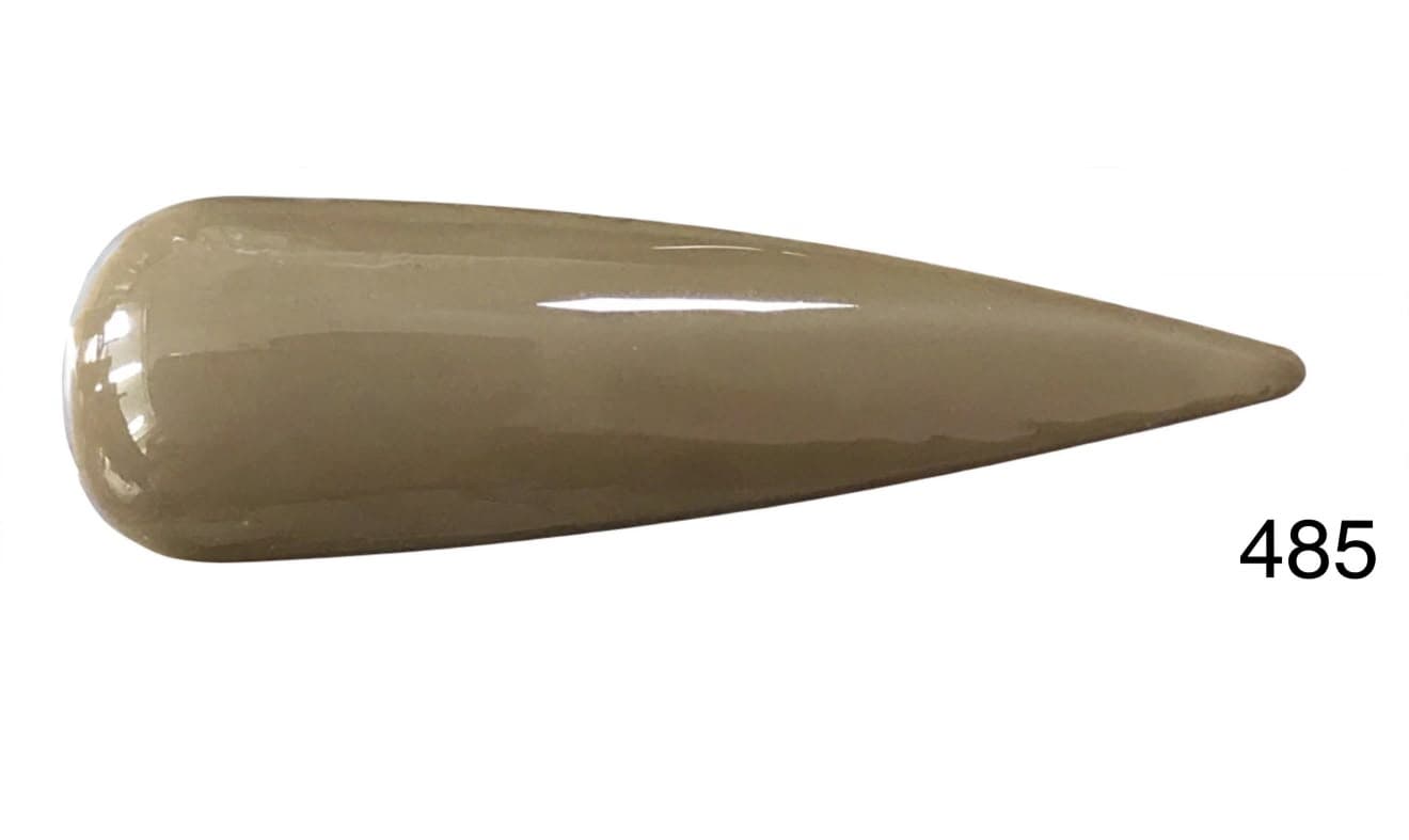 Gel Polish 485