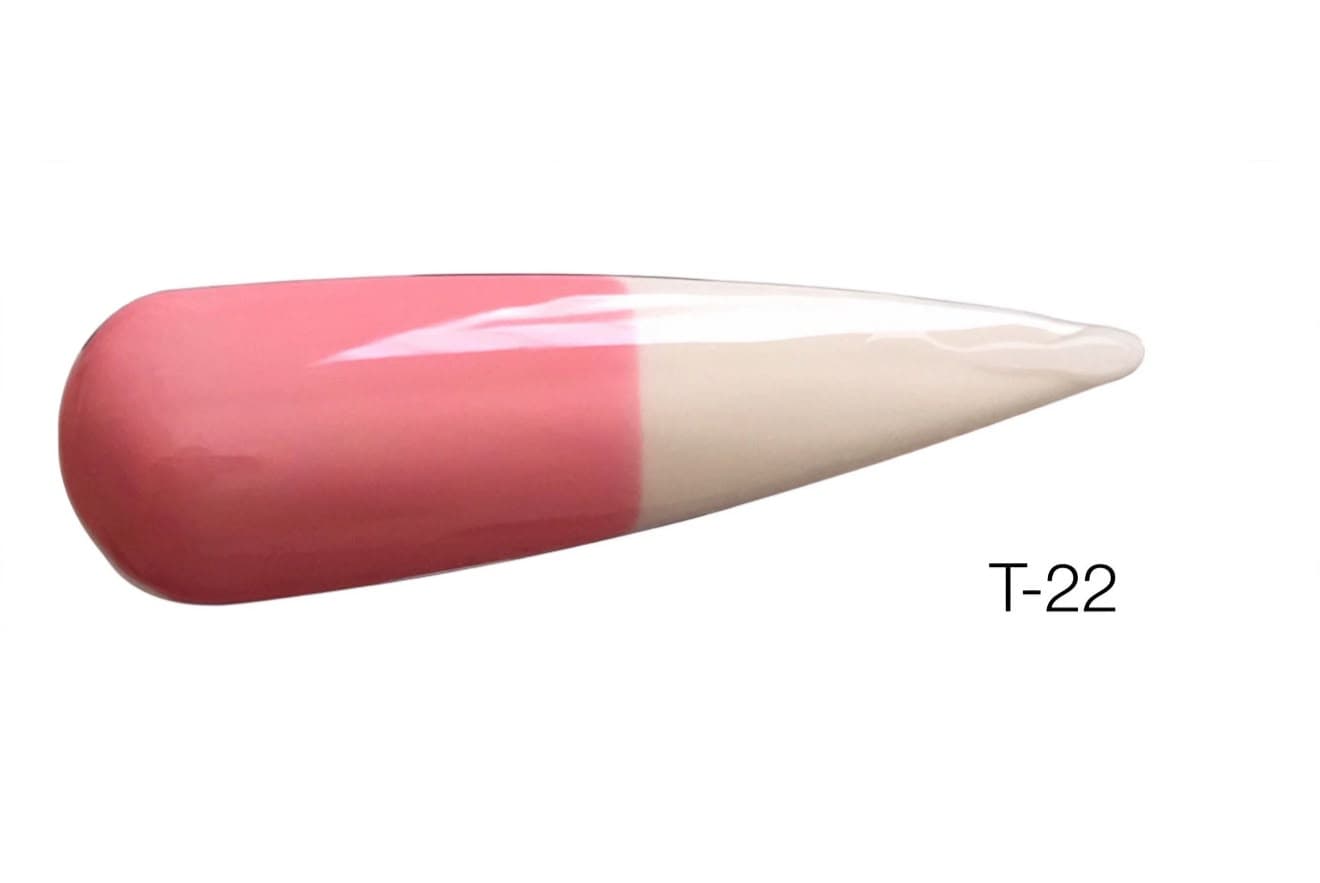 Gel Polish T22