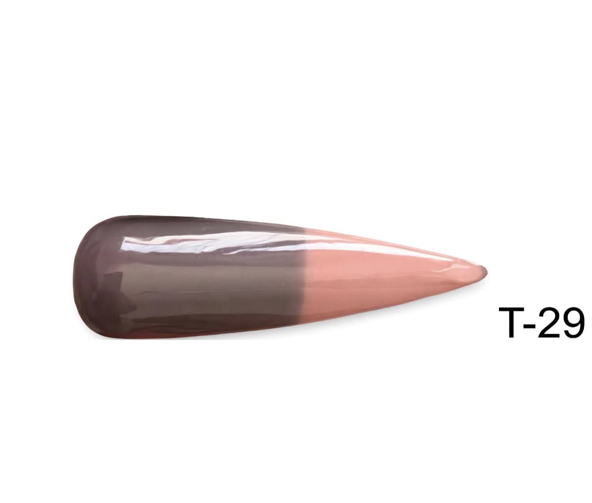 Gel Polish T29