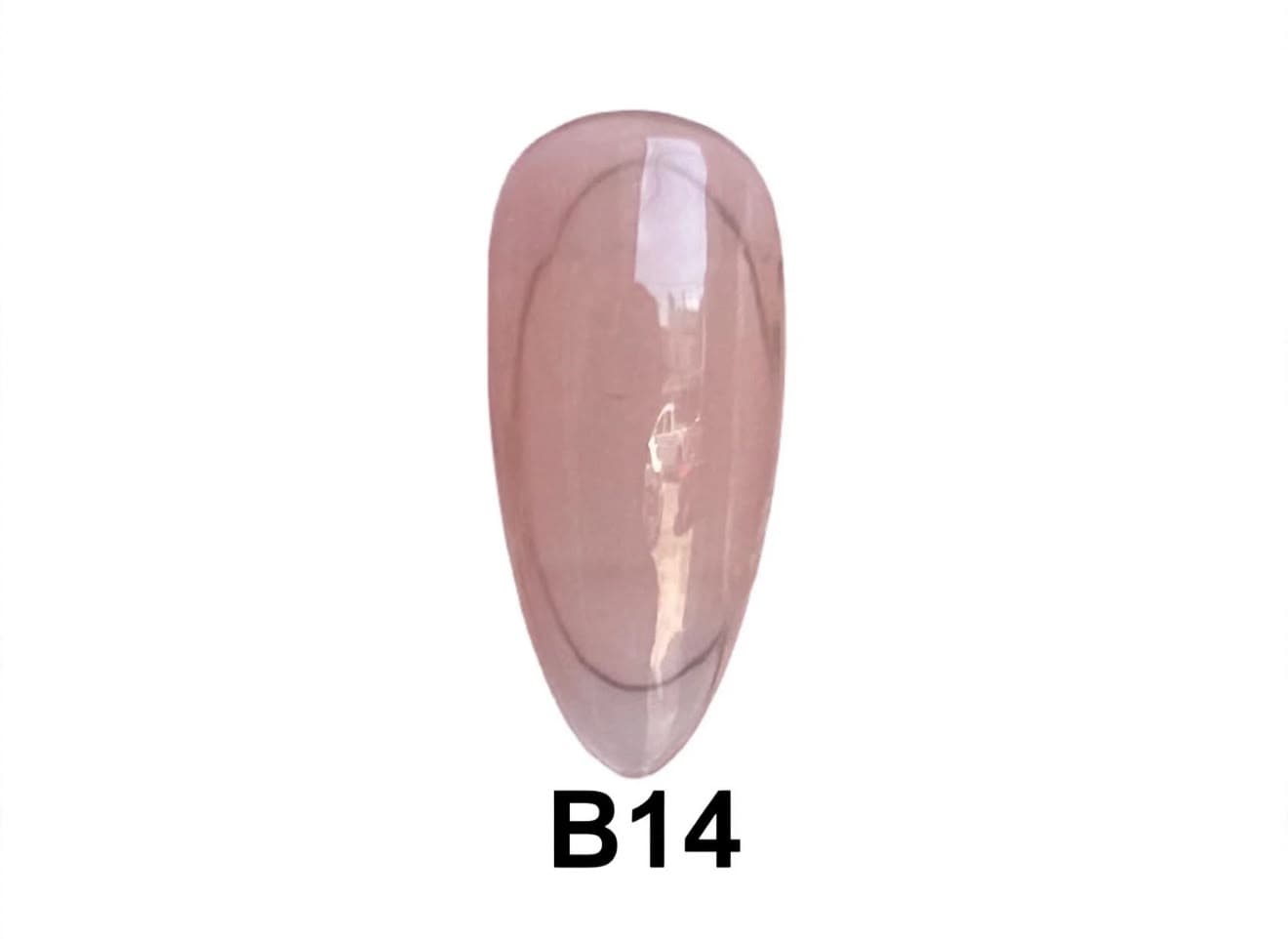 BASE COLOR B14
