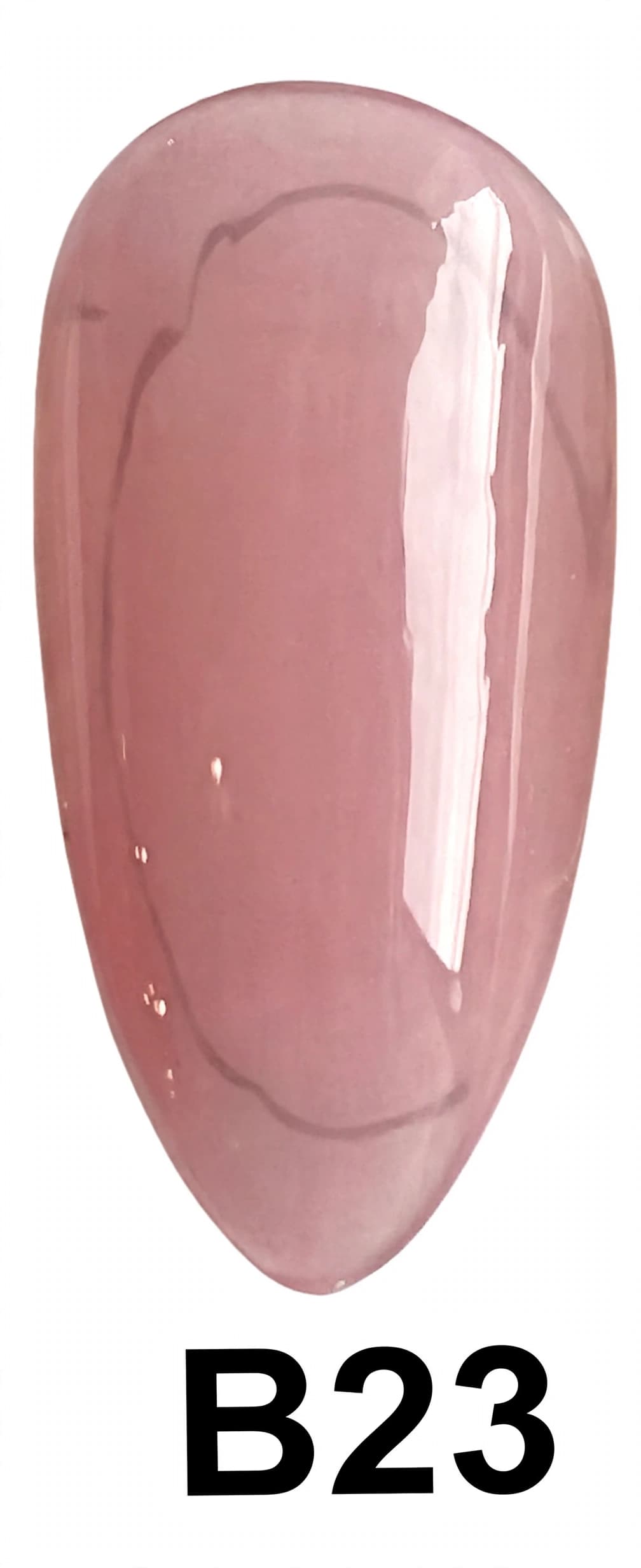 BASE COLOR B23