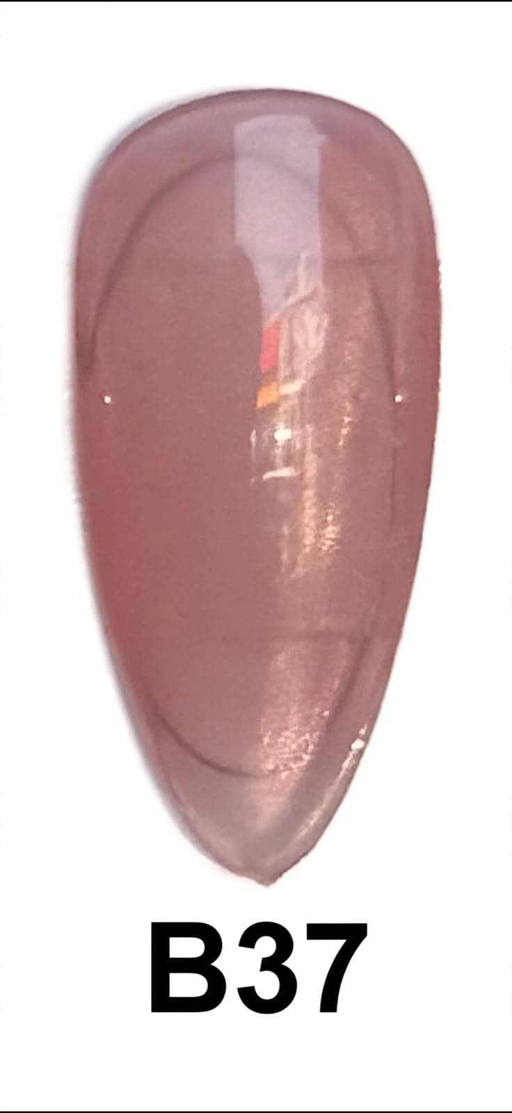 BASE COLOR B37