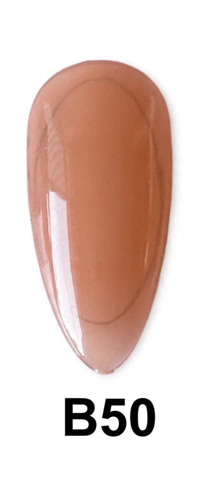 BASE COLOR B50