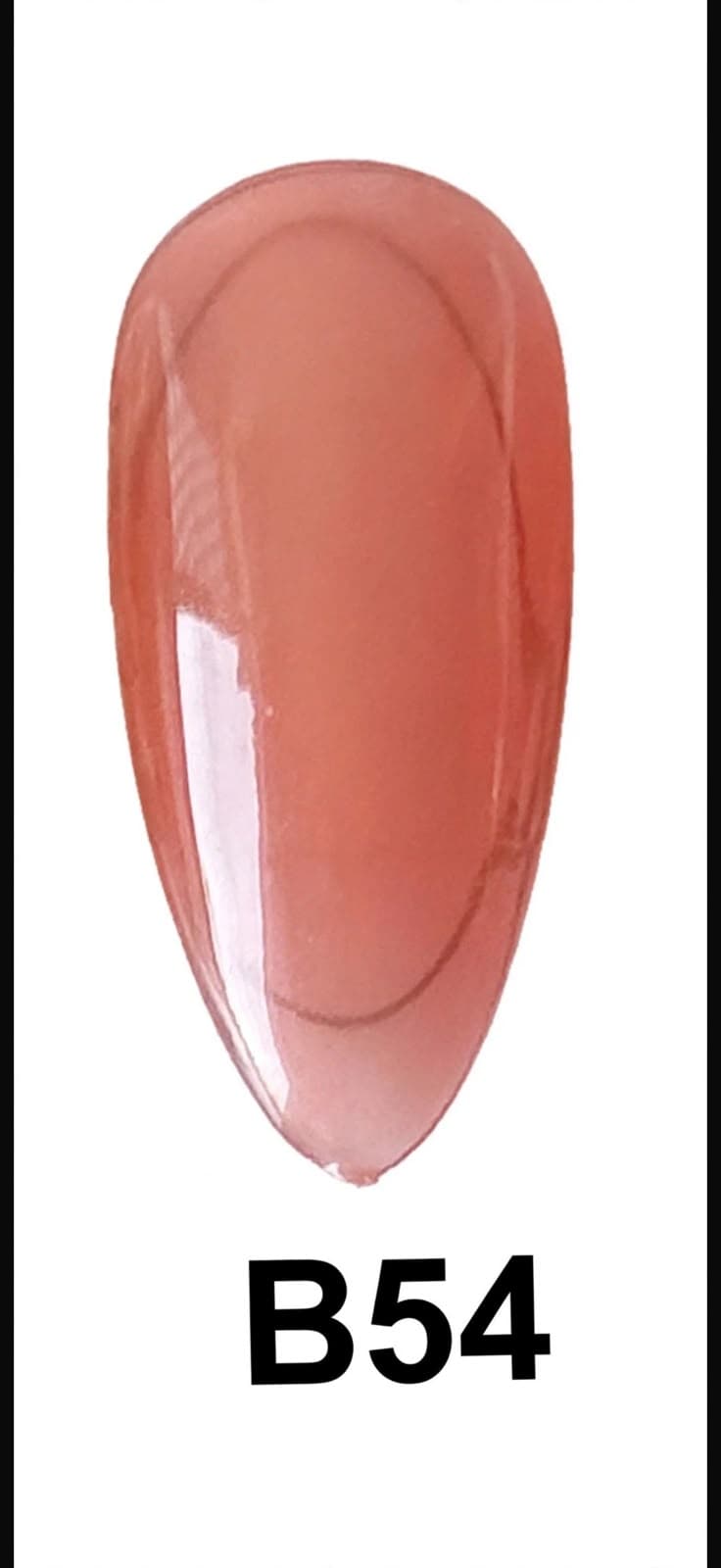 BASE COLOR B54