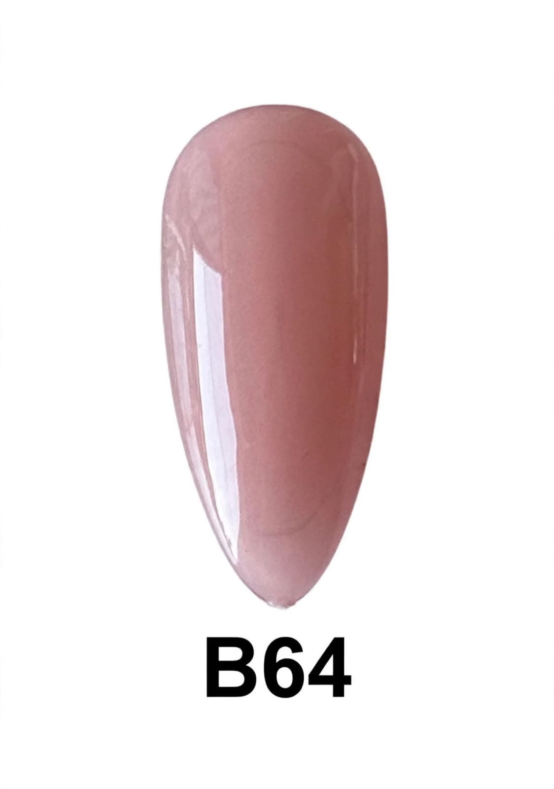BASE COLOR B64