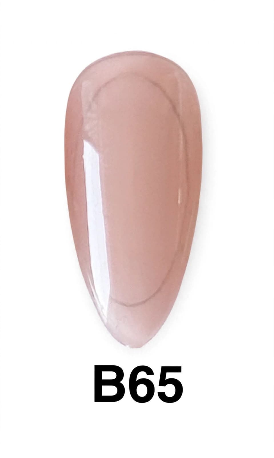 BASE COLOR B65