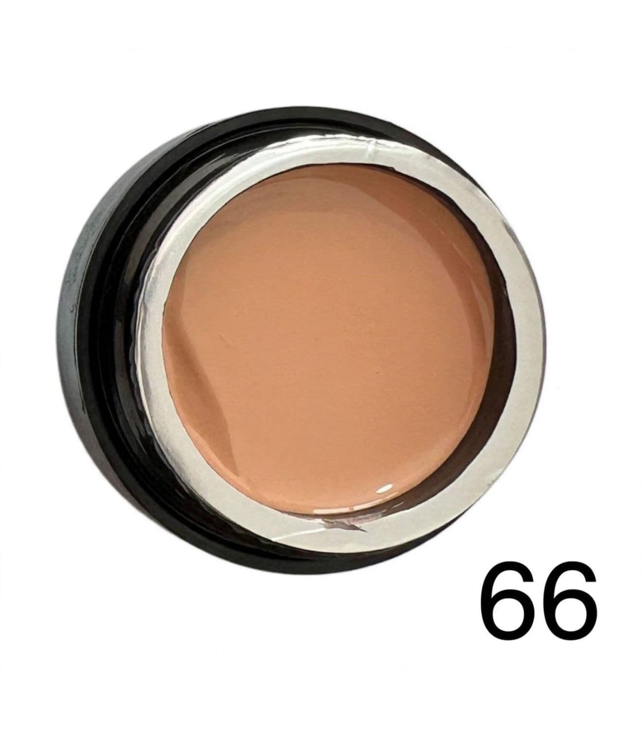 GEL PAINTING 66