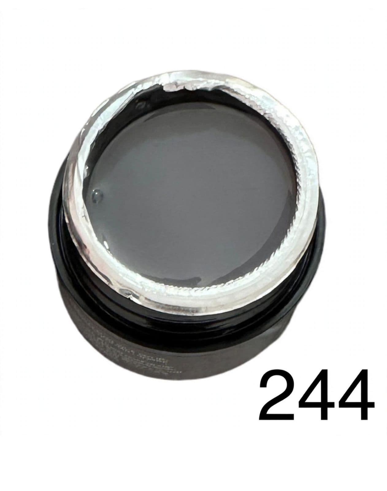 GEL PAINTING 244