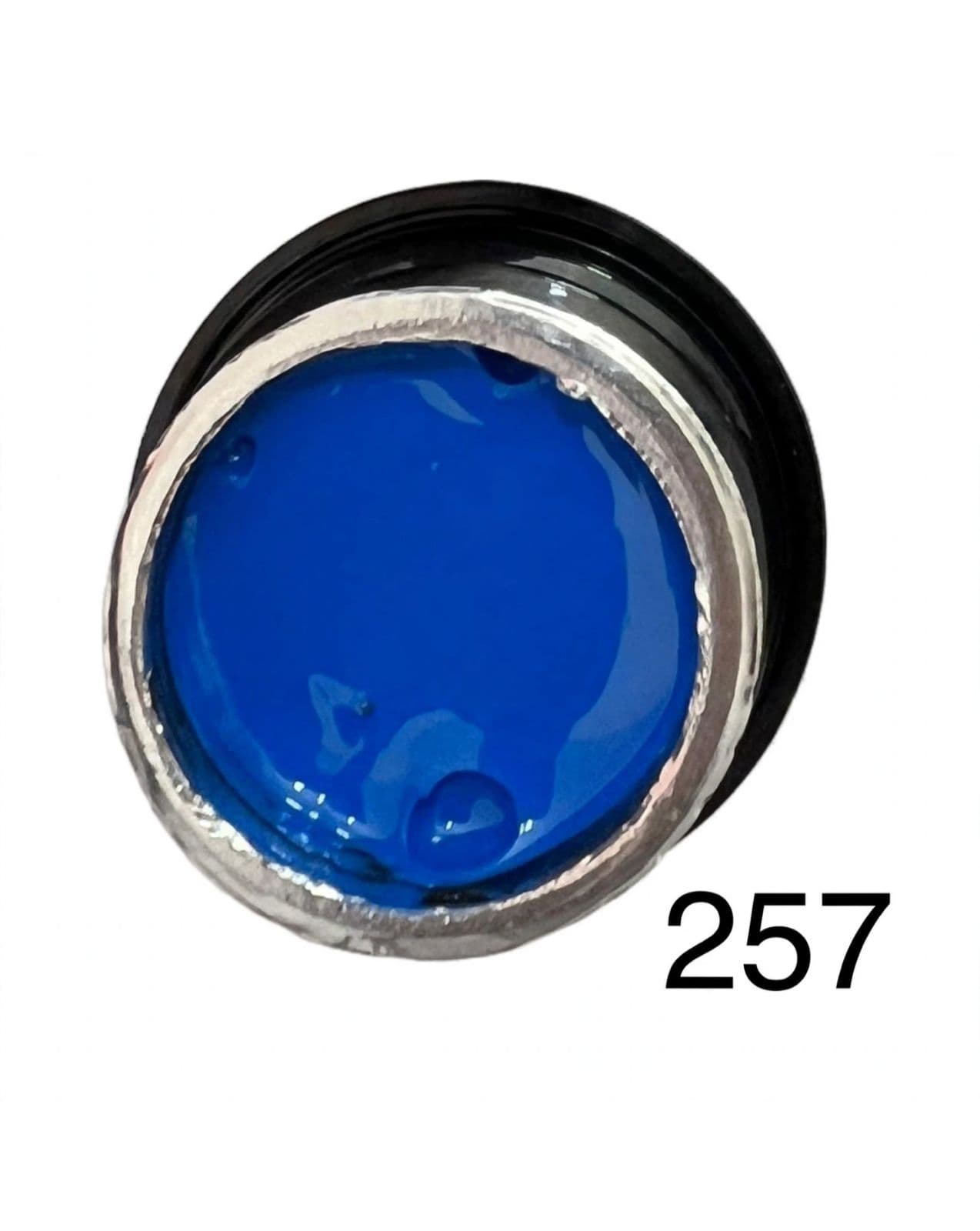 GEL PAINTING 257