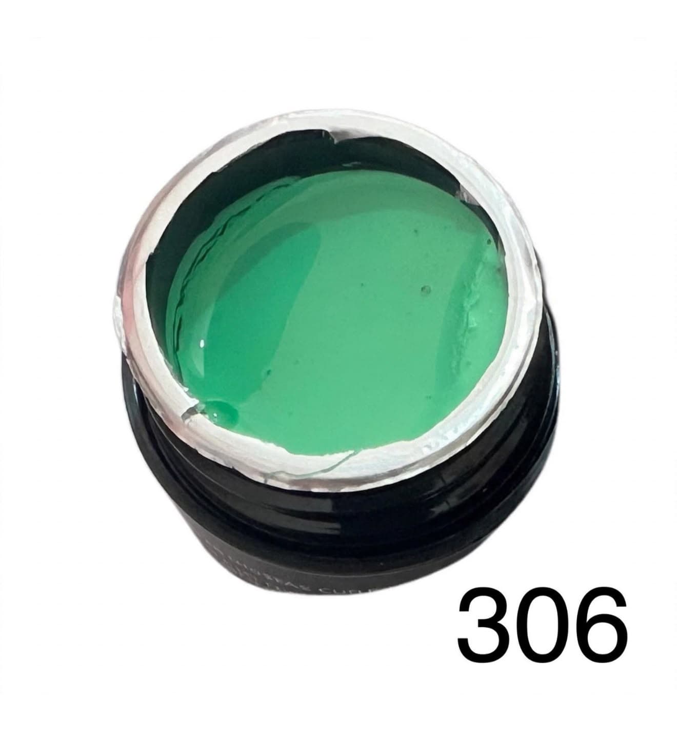 GEL PAINTING 306