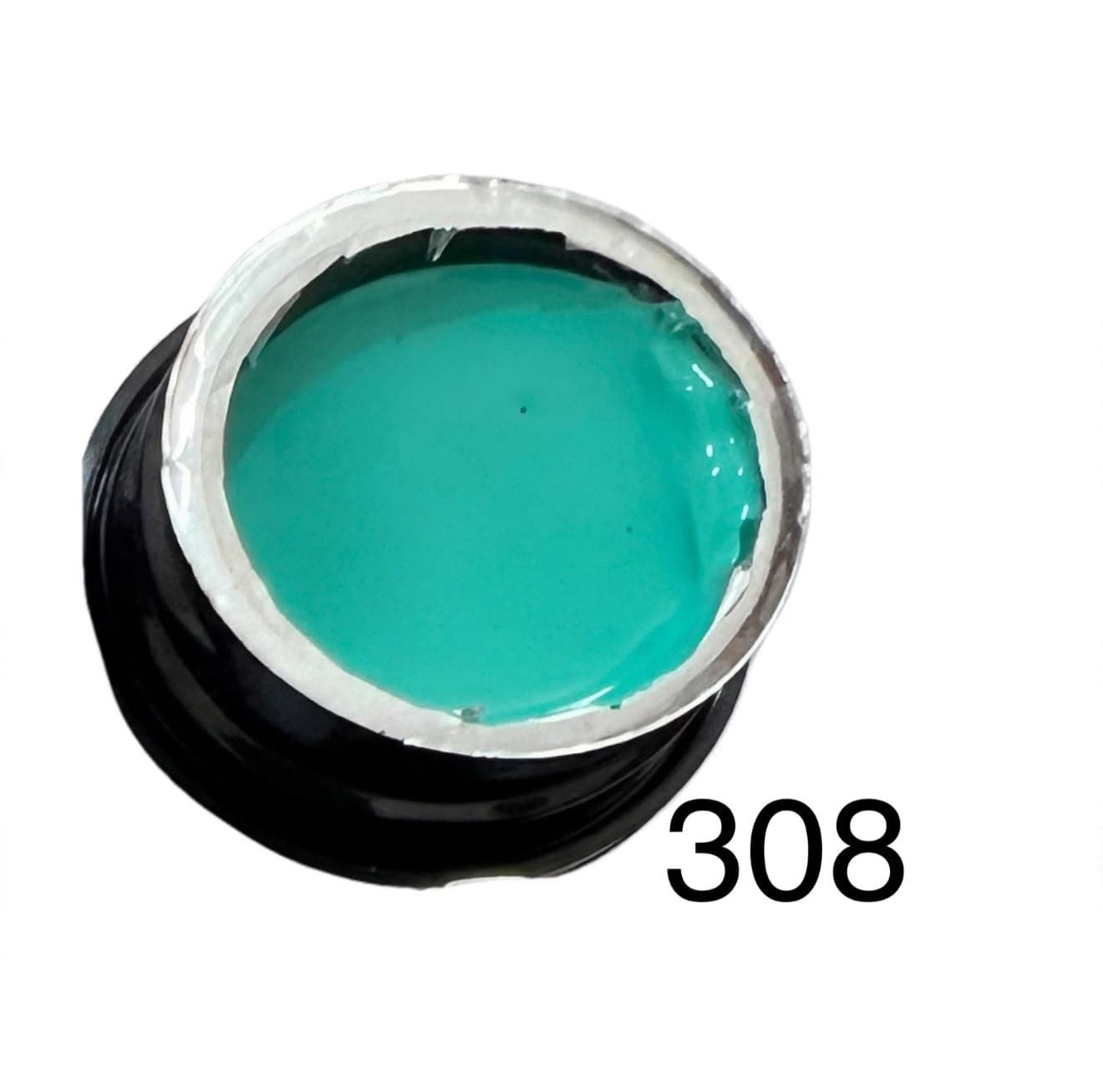 GEL PAINTING 308