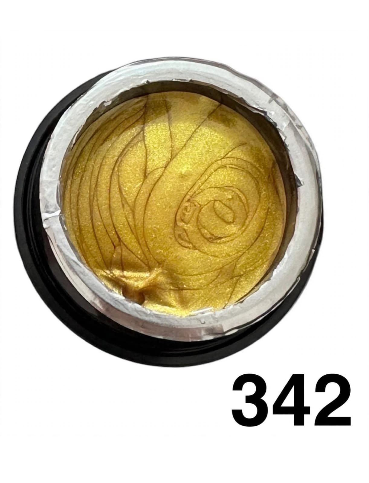 GEL PAINTING 342