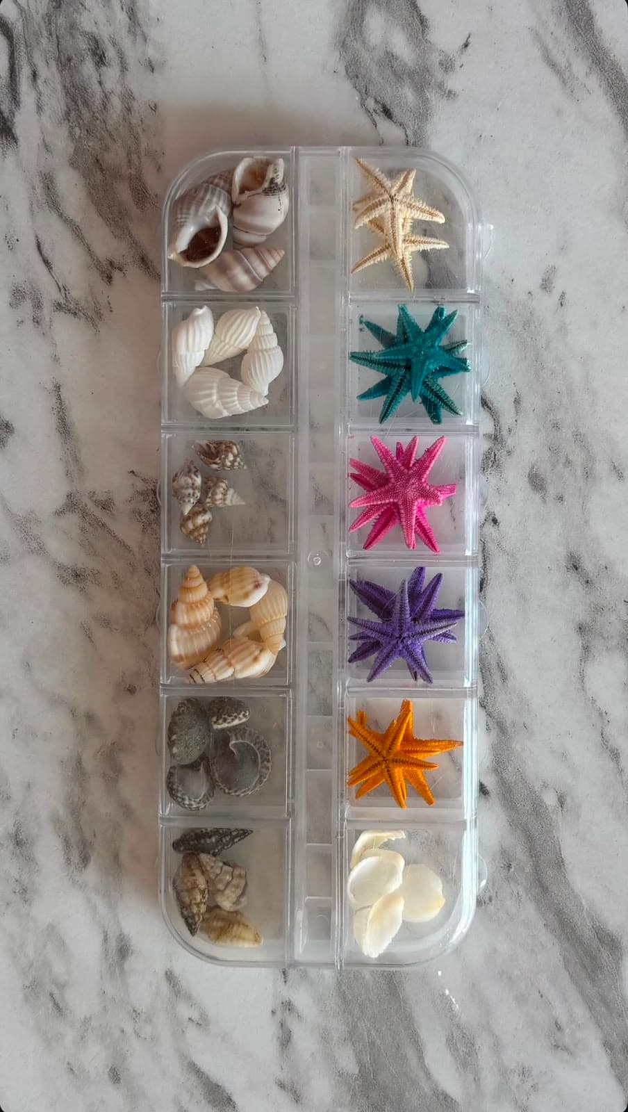 DECORACION MAR
