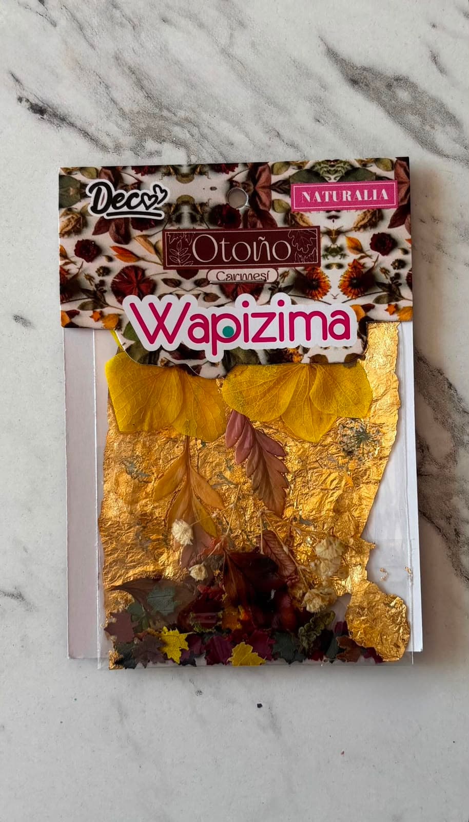 NATURALEZA OTOÑO WAPIZIMA